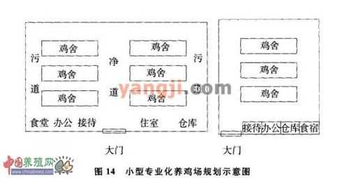 养鸡设施结构图（养鸡设施结构图片大全）