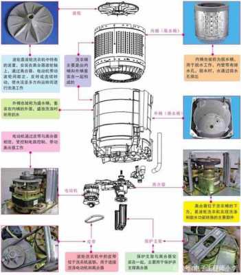 波轮洗衣机结构（波轮洗衣机结构图图解）