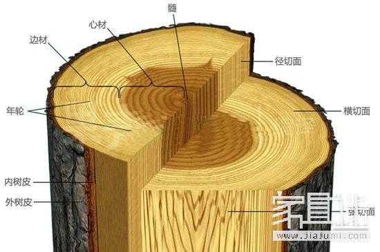 木头穿插结构有哪些（木材穿孔）