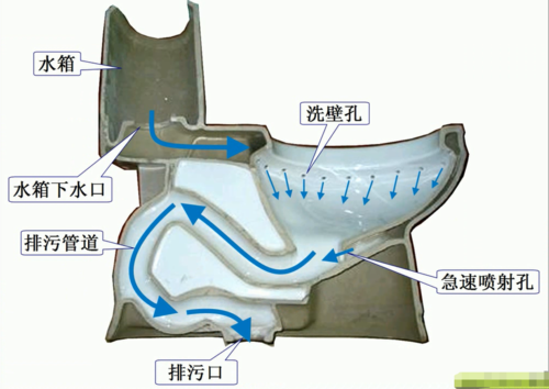 便池结构坐（便池下水道结构）