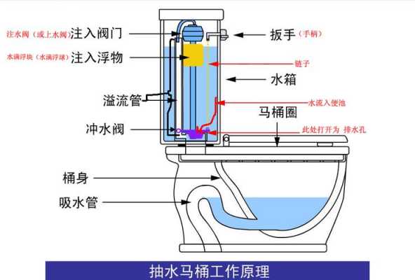 超旋式马桶结构图（超旋马桶和虹吸的区别）