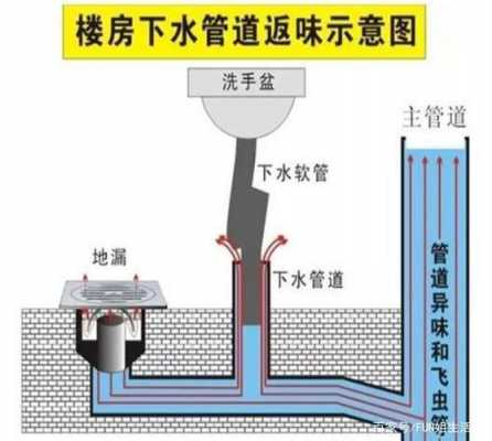 楼层下水道结构图（楼层下水道结构图片大全）