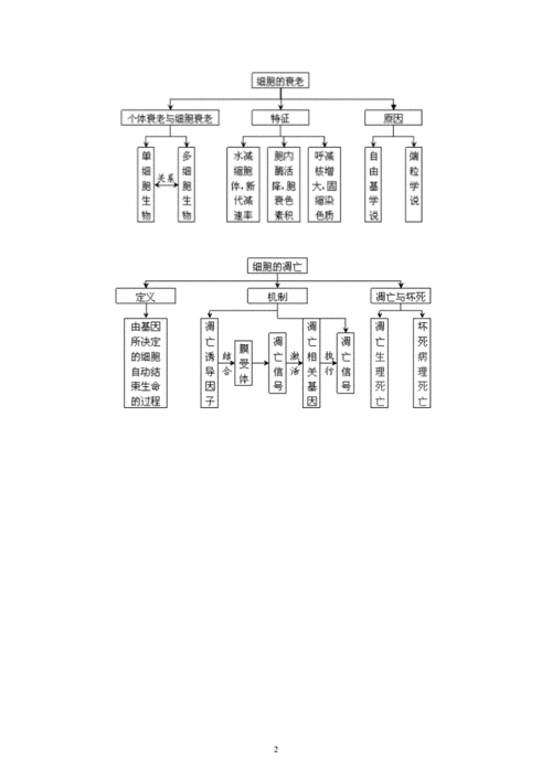 结构图的分类（结构图的分类包括）