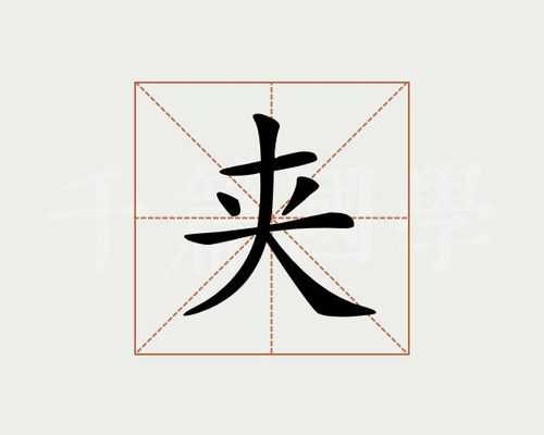 夹是什么结构（夹是什么结构的字）