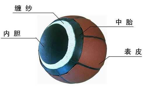 篮球内部结构（篮球的内部）