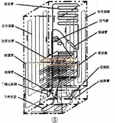 容声牌冰箱结构（容声冰箱结构图）