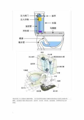 坐便器的结构（坐便器结构图解）