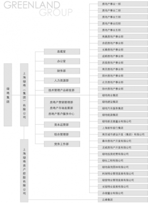 绿地集团结构图（绿地集团结构图解）