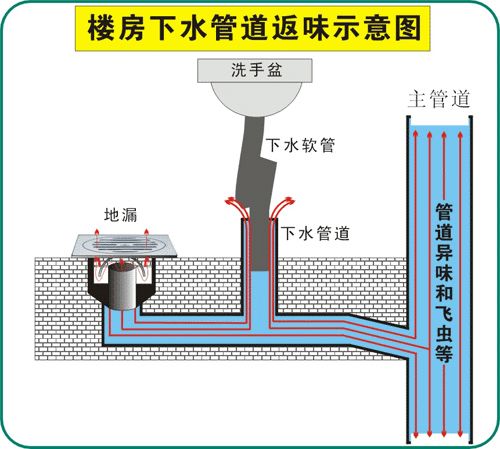 卫生间地漏管道结构（卫生间的地漏下水管道结构）