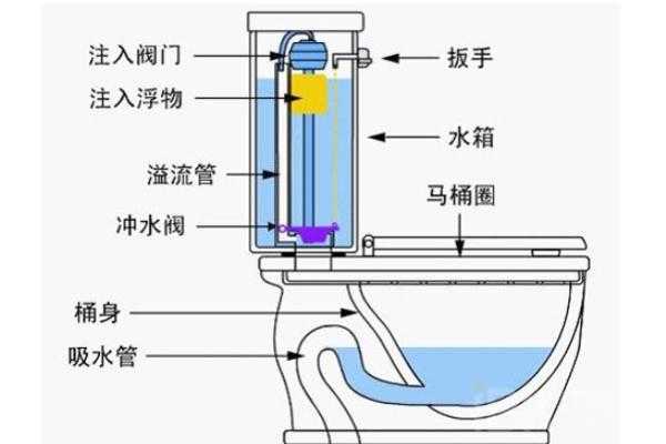 直冲坐便器结构图（直冲坐便器结构图详解）