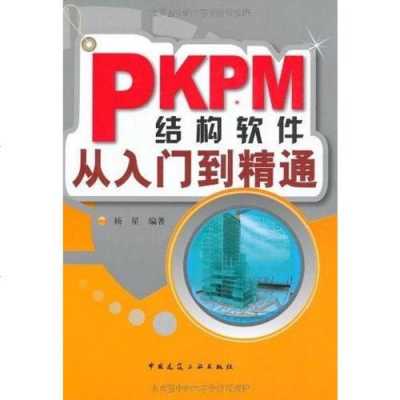 pkpm木结构（pkpm结构软件从入门到精通）