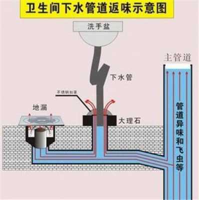 浴室下水道结构（浴室下水道结构图解）