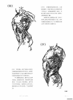 柏林曼人体结构（伯里曼人体结构图电子版）