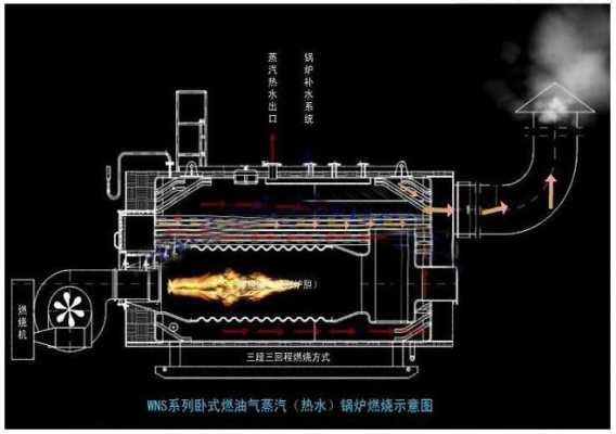 蒸气锅炉结构（蒸汽锅炉结构原理解剖图）