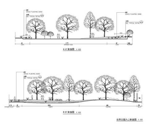 景观结构剖面图（景观结构剖面图怎么画）