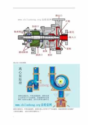 循环水泵结构图（循环水泵的结构及工作原理）