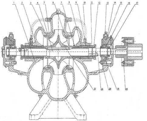 水泵结构图解（水泵结构图解图片）