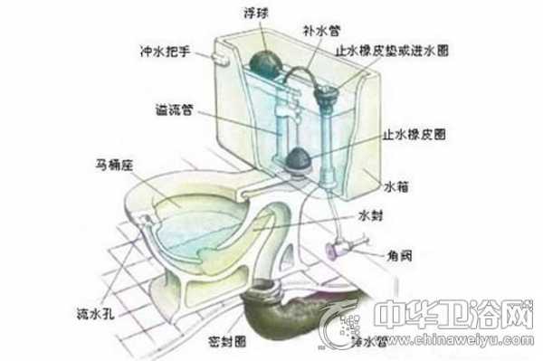 马桶结构图dwg（马桶结构图剖面图）