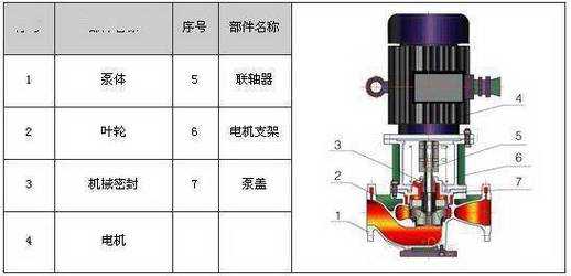 立式自吸泵轴承结构图（立式自吸泵工作原理）