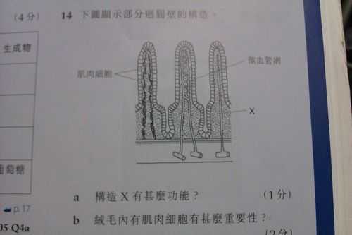 绒是什么结构（绒毛的绒是什么结构）