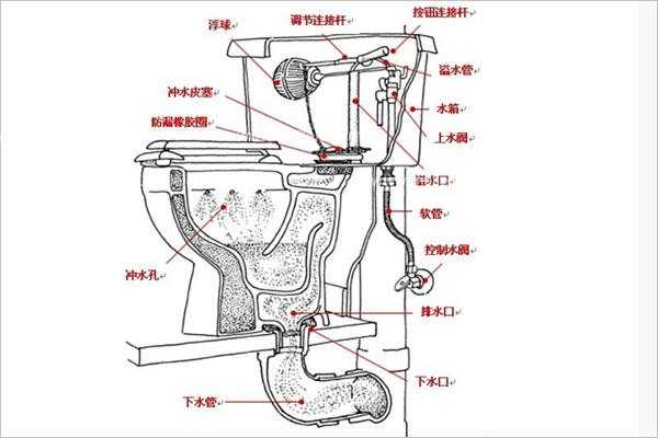 冲落式马桶结构（冲水马桶的结构图）