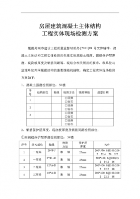 结构实体检测费用（结构实体检测专项施工方案）