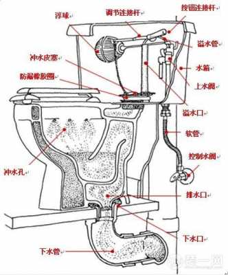 马桶后部结构图（马桶后部构造）