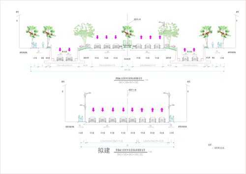 道路断面结构（道路断面结构包括哪些）