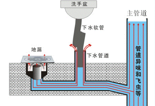 下水道卫生间结构图（下水道的构造图）