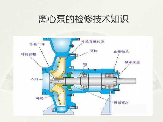 各种泵的结构原理（泵的结构原理图）