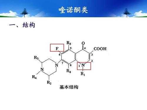 酮结构（喹诺酮结构）