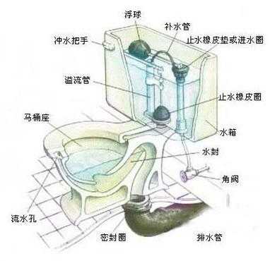 英皇马桶结构（马桶 英国）