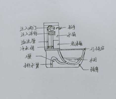 马桶结构省水冲洗（马桶冲水的结构）