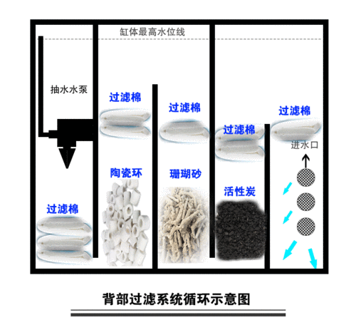 下循环水鱼缸结构图（下循环鱼缸图片）