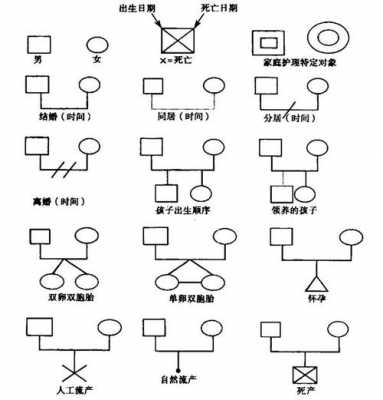 家庭结构图图例（家庭结构图符号大全）