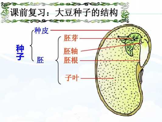 结构的功能是指（结构的功能可分为）