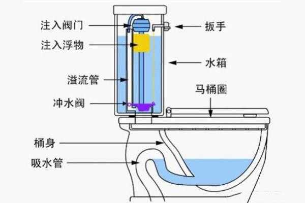 虹吸马桶顶部结构（虹吸马桶顶部结构图）