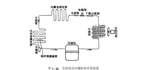 冰柜制冷结构（冰柜的制冷原理图）