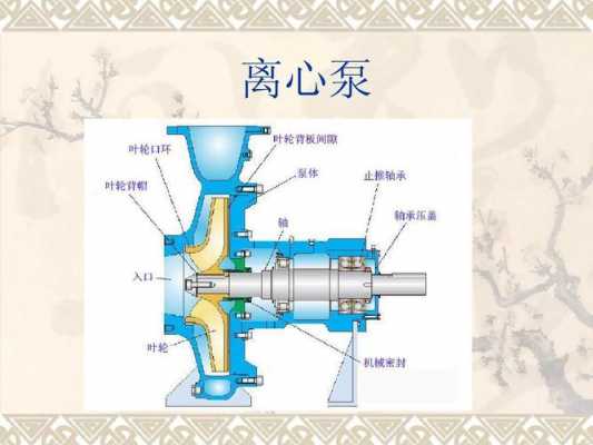 泵的种类结构（泵的分类按结构原理分类）