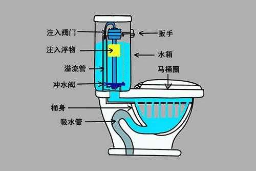 马桶抽结构图（马桶抽子工作原理）