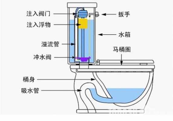 扬子马桶的结构（扬子马桶的结构图）