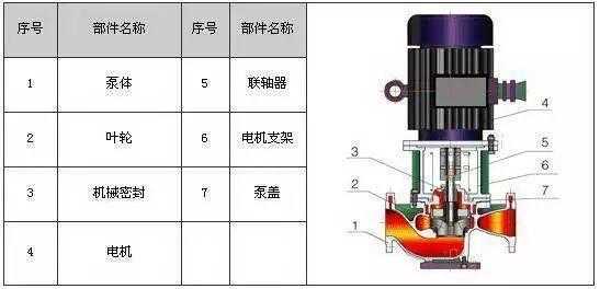 循环泵的内部结构图（循环泵的内部结构图）