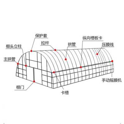 蔬菜大棚骨架结构图（蔬菜大棚骨架结构图片）