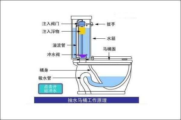 普通坐便器马桶结构（坐便器马桶结构图）