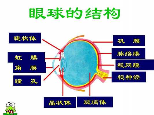 什么是影片结构（什么是影片结构的基本组成单位）