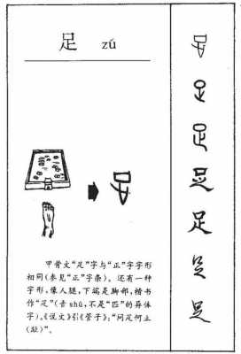 脚字结构（脚字结构解析）