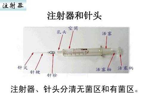 针头结构（针头的结构）