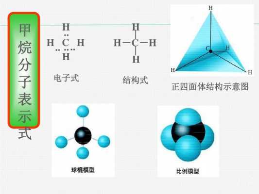 碳桥结构图（桥碳原子）