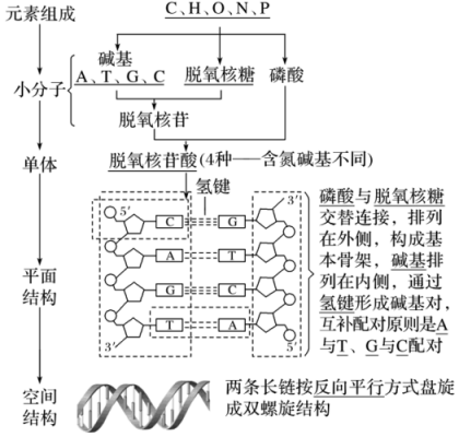 前几结构（前结构的三个层次有何主次）