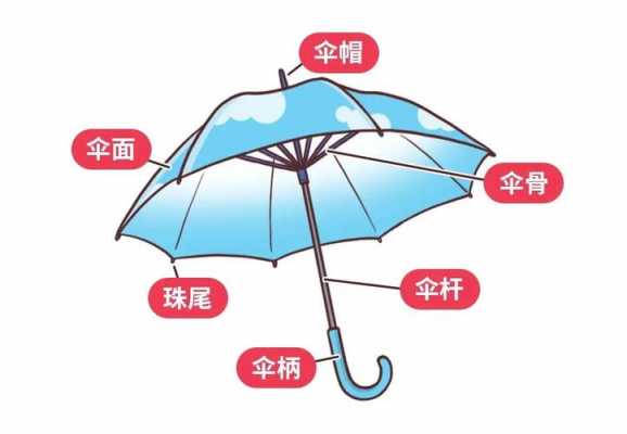 雨伞按钮结构图（雨伞按钮结构图片）